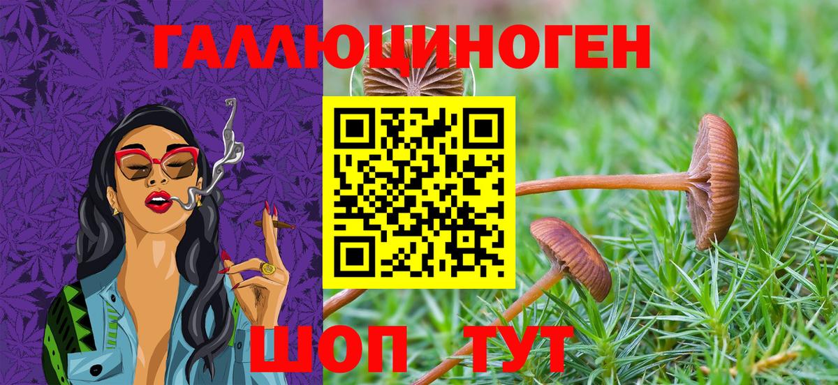 Благовещенск  Псилоцибиновые грибы Psilocybe  Вход с VPN  Галлюциногенные грибы Psilocybine cubensis 